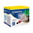 Criadeira mini / still pet Equiparium