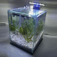 Aquário 10l Quili Classic Nano Completo + Decoração Natural