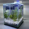 Aquário 10l Quili Classic Nano Completo + Decoração Natural