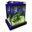 Aquário 10l Quili Blackbox Nano Digital Completo + Decoração Natural