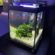 Aquário 10l Quili Blackbox Nano Digital Completo + Decoração Natural