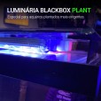 Aquário 10l Quili Blackbox Nano Plant Completo + Decoração Plantado