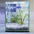 Aquário 10l Quili Classic Nano + Luminária X3 Branca