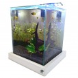 Aquário 10l Quili Slim Nano + Equipamento Completo