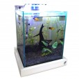 Aquário 10l Quili Slim Nano + Equipamento Completo