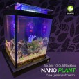 Aquário 10l Quili Blackbox Nano Plant Completo + Decoração Plantado