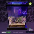 Aquário 10l Quili Blackbox Nano Plant Completo + Decoração Plantado