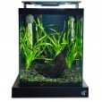 Aquário 10 Litros Quili Blackbox Nano + Luminária LED + Decoração Natural