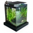 Aquário 10 Litros Quili Blackbox Nano Completo + Decoração Natural