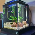 Aquário 10 Litros Quili Blackbox Nano Completo + Decoração Natural