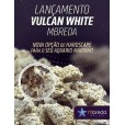 Rocha Vulcan White Mbreda Média