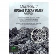 Rocha Vulcan Black Mbreda Média